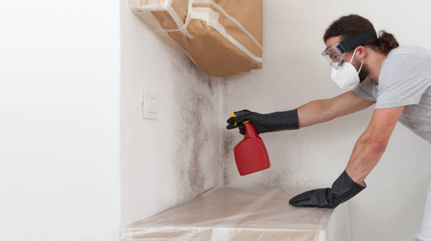 Professional Black Mold Removal technician working in Raritan, NJ