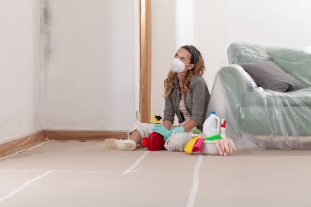 Reliable Black Mold Removal contractor in Raritan, NJ by WQB Mold Removal